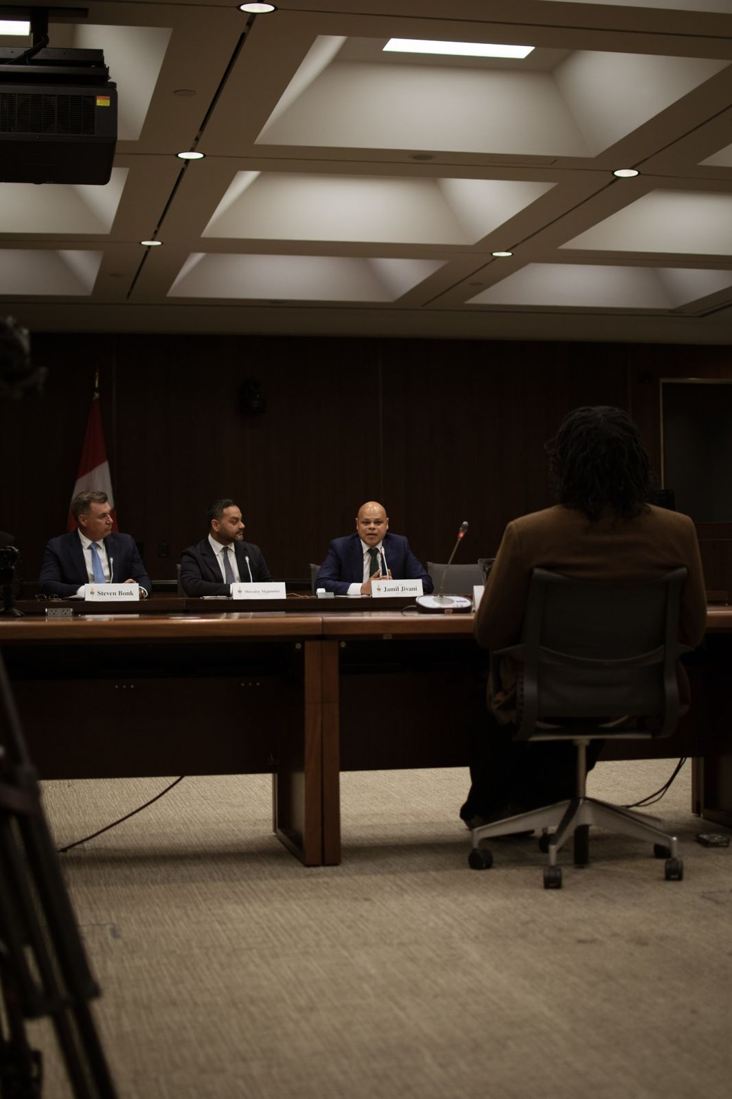 A witness faces the Task Force panel